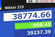 【悲報】新NISA民、逃げ遅れる