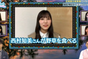 【日向坂46】河田陽菜の西村知美さんへの謝罪…まさかの本人がブログで反応！マネージャーさん“おひさま”説も浮上ｗｗ