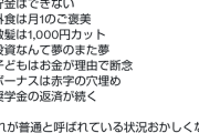 【悲報】X民「これが平均的な日本人のリアル」←これでどうやって生活してるの？