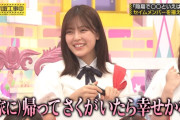 柴田柚菜ちゃんと遠藤さくらちゃんのイチャイチャがたまらん！！！【乃木坂46】