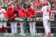 カープファビアン決勝1号弾！小園タイムリー＆2安打1盗塁！森6回0封！中崎-鈴木健-河野完封リレーで快勝！【広島3-0ロッテ/OP戦試合結果】