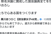 【悲報】ガーシー除名反対デモ、『5000人の怒れる国民』が集まった模様。もう終わりだよｗｗｗｗｗ