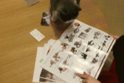 【GIF】 本を読んでいると、ねこは大抵こうする【再】