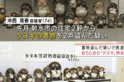 【悲報】タヌキを盗みまくった男、逮捕…！
