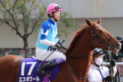 【見切り早いんじゃね？】エスポワール　4歳で引退、繁殖入りへ