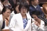 【年収２０００万円】立憲民主党・蓮舫と国民民主党のおばさん議員達、国会を喫茶店かなにかだと勘違いしてしまう