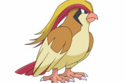 韓国人「ポケモンみたいな鳥を捕まえた！」
