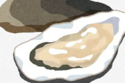 【画像】東京湾の牡蠣、どう見ても美味そうｗｗｗｗｗｗｗｗｗｗｗｗ