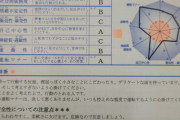 【画像】自動車教習所で適性検査を受けた結果がこちら