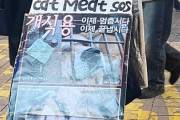 米国ラジオ「食べるから韓国人は保護犬を受け入れるなよ」韓国報道「アジア系から反発の声」アジア系「保護犬を受け入れるなよ」
