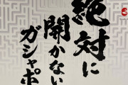 【画像】バンダイより「絶対に開かないガシャポン」が発売、お値段たったの300円