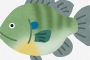 魚類研究者「ブルーギルって魚導入して日本の食料難解決や！」国民「くっさ！まっず！誰が食うか！」