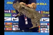 【動画】W杯ブラジル代表の広報さん、記者会見に乱入した猫を「残酷に始末」し世界中で炎上