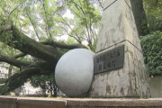 高さ15mのエノキが倒木し原爆慰霊碑の塀を損壊