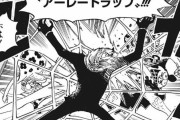 【ワンピース】最近のサンジさん、評判ガタ落ちする・・・・・・・・