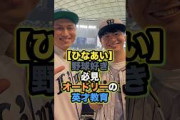 【オードリーの英才教育】野球ネタがすぎるひなあい #日向坂で会いましょう #日向坂オードリー #日向坂46
