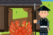 ヤドカリ「通してください」門番「だめだ！ここを通っていいのはカニだけだ！！」