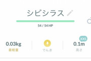 【ポケモンGO】サイズ「XXS」の使い道