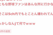 【悲報】ガルちゃん民「なんJにまともな野球ファンはいない。あそこは5ちゃんの嫌われ者の集まり」