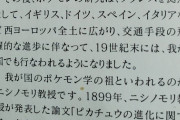 ポケモンの世界って「フランス」「アメリカ」「ドイツ」とか実在地域の設定ってまだ生きてるの