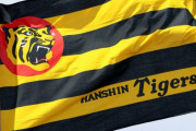 阪神　日程追加、台風14号接近で中止の19日の阪神－ヤクルト戦は10月２日に開催