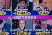 【画像あり】北朝鮮の侮蔑表現がセンスありすぎワロタｗｗｗｗｗｗｗｗ