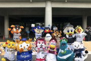 巨人のマスコット、集合写真で孤立する…