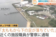 「太ももから下の足が落ちていた」福岡の海岸で右足がみつかる