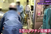 【悲報】ワクチン、意味なかったｗｗｗｗｗｗｗｗｗｗｗ【ガチ】
