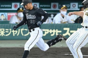 鳥谷、古巣・甲子園凱旋３試合は３戦連続安打