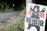 クマ注意！人を恐れない「新世代クマ」が出没するようになってる模様