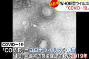 コロナウイルスの正式名称、決まる