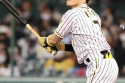 阪神糸井嘉男が代打で犠飛「自分に任された仕事、最低限」貴重な追加点