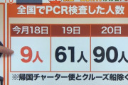 【つまり？】厚労省「１日のPCR検査数は９人」和歌山県「４８人検査した」(´･ω･`)？