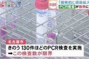 名古屋市＋６５（検査数１２５）