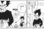 ベジータ「潜在能力が最も高いのは悟飯」「悟飯、トレーニングだけはしておけ」