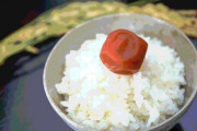 【さすが】修学旅行先で。宿の『ご飯』がマズかったので、うちの学校の生徒「500人」みんな、ご飯だけ残してた←“新潟県人” 相手に古米のご飯は出しちゃだめ！