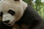 中国人「東京で深夜に地震発生。逃げたのは外国人観光客だけだった」　中国人「老兵の落ち着き」「怖かったのは揺れよりもスマホ」