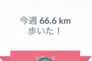 【ポケモンGO】ワイフェス2日目に20km歩き累計で50キロも歩いてしまう