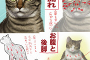 【画像】猫を触ったことない人が想像でアニメを作るとこうなるｗｗｗｗｗｗｗｗｗｗｗ