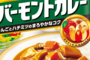 【深刻】レトルトカレーのルー、ガチで美味いやつが無い