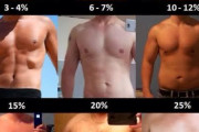 【画像】男の理想体脂肪率10%、その肉体がこちらｗｗｗ