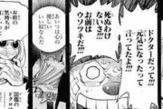 【ワンピース】一番感動するシーン「Drクレハとチョッパーの別れ」「ペル死亡」