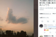 【自然】犬？それとも猫？人によって見え方が変わる不思議な雲