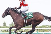 札幌２歳Ｓ勝ち馬ドゥーラは斎藤新騎手とのコンビで阪神ＪＦへ