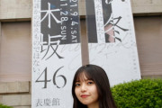 【乃木坂46】齋藤飛鳥の写真を真似して左側落ちると普通に事故るからな…