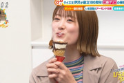 ひなちまのジャイアントコーンの食べ方ワロタｗｗｗ【乃木坂46】