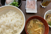 すき家の朝定食350円がこちらｗｗ