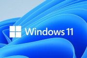 【悲報】『Windows 11』の普及率、“7”どころか“XP”を下回るｗｗｗｗ