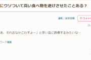 回転寿司は安い皿に　子どもに贅沢を許す？「おいしくないよ」「こっちにしたら？」ママたちの誘導法がこちら